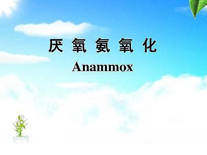 ��(y��u)�|(zh��)�������͚��������a(ch��n)�S��һ���f(shu��)͸������������ˇ