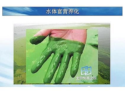 ��(y��u)�|(zh��)�������͚��������a(ch��n)�S��һ���f(shu��)͸������������ˇ