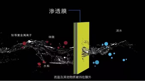 ��ʽ��ܛ�����ϏS�Ұl��ί�B�l4ƪ���x���£�ˮ̎��Ĥ�����ИIӭ�°lչ