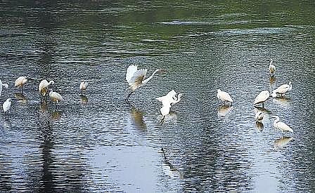 ���x���w�������ϏS��12.01�|������!��������ˮ��ʹ�ÿ����B�m(x��)����ȫ����һ