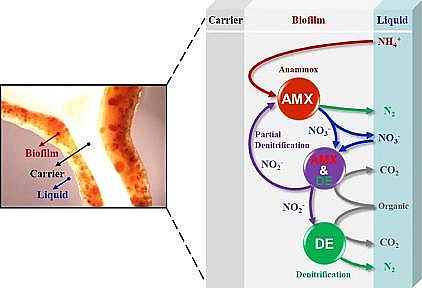 �|(zh��)���J(r��n)�C�ۺ��Ȼ��XPAC���a(ch��n)�S�һ��ڌ�(sh��)�H��ˮA2/O��ˇ�БҸ������������p����(sh��)�F(xi��n)ȱ������Ĥ�Ѕ������������ĸ߶ȸ���