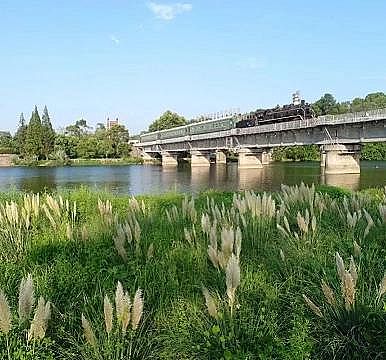 �ϵ���x�Ӿ۱�ϩ����HPAM�S��​����ֲ����I�B(y��ng)��ˮ�w�ޏ�(f��)�о�