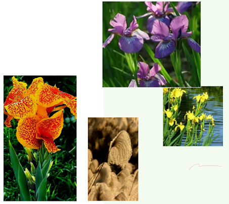 �ϵ���x�Ӿ۱�ϩ����HPAM�S��​����ֲ����I�B(y��ng)��ˮ�w�ޏ�(f��)�о�