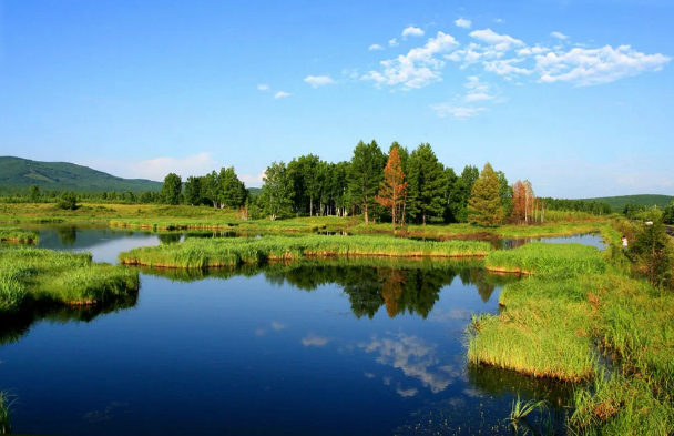 �ϵ���x�Ӿ۱�ϩ����HPAM�S��​����ֲ����I�B(y��ng)��ˮ�w�ޏ�(f��)�о�