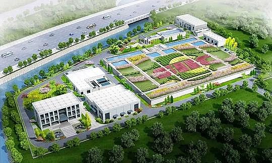 �Ϻ��������̿���a(ch��n)�S�҇�(gu��)��(n��i)ʮ���̼ʾ����ˮ̎��S���γ��t!��Ԕ��(x��)��B!