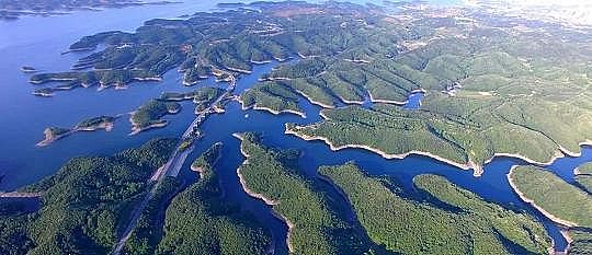 �ϵȷ��x�Ӿ۱�ϩ����NPAM�S�������h����˾�����¡����Ƿ��A������4�f����!�������}��ν��}?