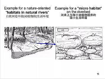 �Ϻ�ʯӢɰ�V�ϏS�ҵ��ӵ��Ľ���Ȼ�ޏ͌��`