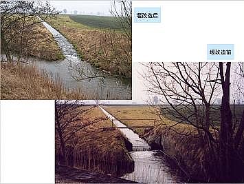 �Ϻ�ʯӢɰ�V�ϏS�ҵ��ӵ��Ľ���Ȼ�ޏ͌��`