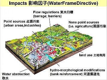 �Ϻ�ʯӢɰ�V�ϏS�ҵ��ӵ��Ľ���Ȼ�ޏ͌��`