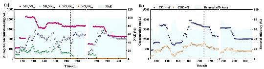優質碳源廠家生活垃圾焚燒廠滲瀝液厭氧氨氧化脫氮效能及微生物機理研究