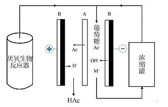 上好非離子聚丙烯酰胺NPAM生產廠家雙極膜電滲析技術的研究進展