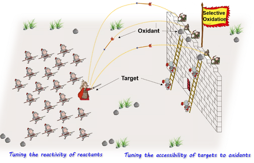 �ϺýY���Ȼ��X���a�S��̽ӑ�x��������ˮ̎�����g��ԭ�������Լ�����