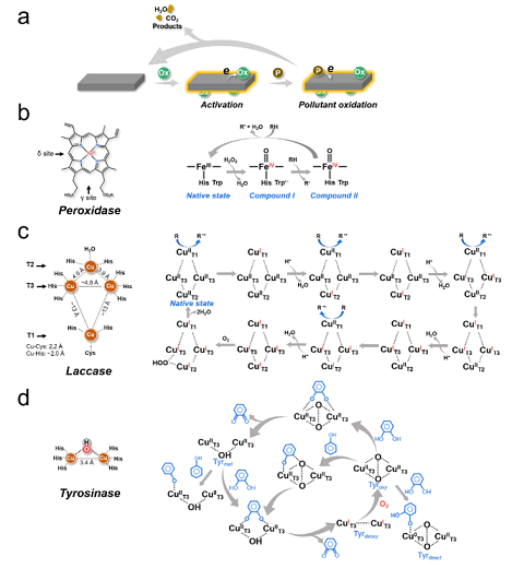 �ϺýY���Ȼ��X���a�S��̽ӑ�x��������ˮ̎�����g��ԭ�������Լ�����