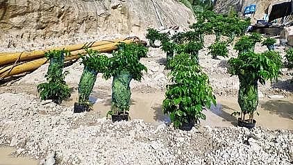 �๦�ܷ������͚��������a(ch��n)�S������h(hu��n)�������(l��i)�ˣ���ˮ̎��S��������ϵ�y(t��ng)���c(di��n)�c��!