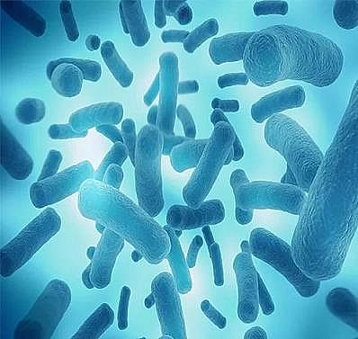 �Ϻ����w�W(w��ng)�����ϏS�ҿ��� | �P�ڳ���ˮ�㲻֪������Щ��...