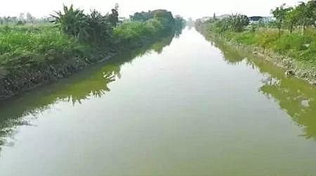 �ϵ���ˮñ���a�S�Ҹ�؛ | ˮ�|��ô���?