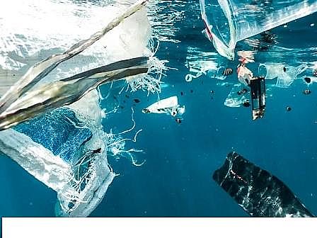 �������w�W(w��ng)�����ϏS��(li��n)�χ�(gu��)����ˮ�YԴ�l(f��)չ��(b��o)�棺�Uˮ���µĺڽ���?