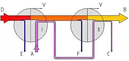 �������������V�ϏS�Ҕ�ʮ�N���}�Uˮ̎���������Ă����ǌ��F�����ŷš����P�I·��?