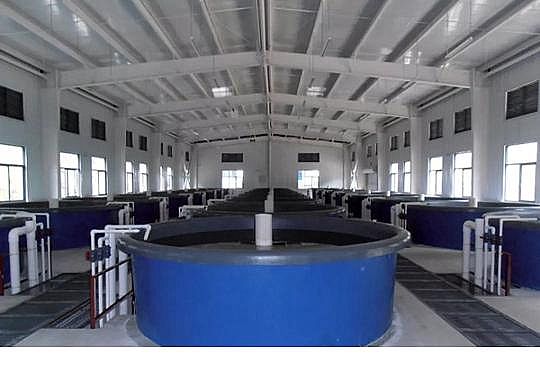 �������ʯ�V�ϏS�ҹ��S��ѭ�hˮ�Bֳ���g��B