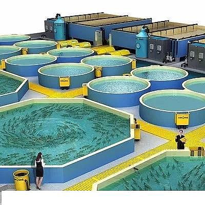 �������ʯ�V�ϏS�ҹ��S��ѭ�hˮ�Bֳ���g��B