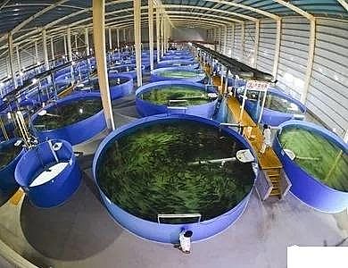 �������ʯ�V�ϏS�ҹ��S��ѭ�hˮ�Bֳ���g��B