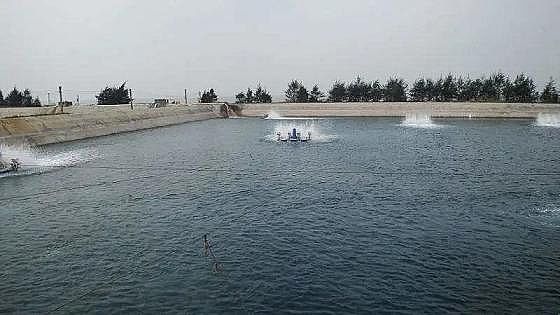 ȫ���Z��ʯ�V�ϏS���Bֳβˮ���팢�д����!�����ŷŘ˜ʌ��С������ơ�