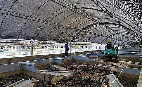 ȫ���Z��ʯ�V�ϏS���Bֳβˮ���팢�д����!�����ŷŘ˜ʌ��С������ơ�