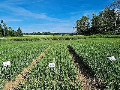 2022�������c̼Դ���a(ch��n)�S�һ��Տ���ˮ�з��x��������Һ����Ȼ���@ô����;!