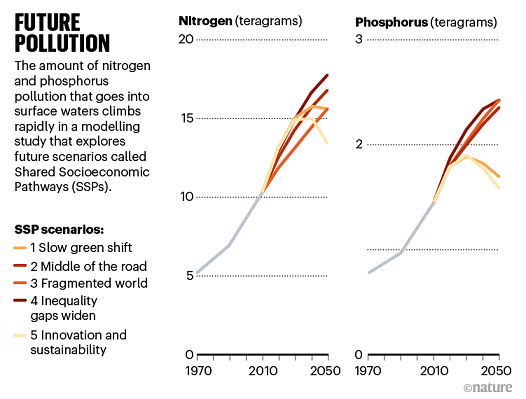 2022�������c̼Դ���a(ch��n)�S�һ��Տ���ˮ�з��x��������Һ����Ȼ���@ô����;!
