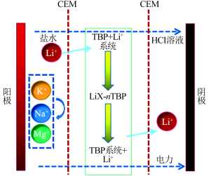 2022���ܛ�����ϏS�Ҹ��}���I�Uˮ�YԴ�������I��늝B�����g���о��Mչ