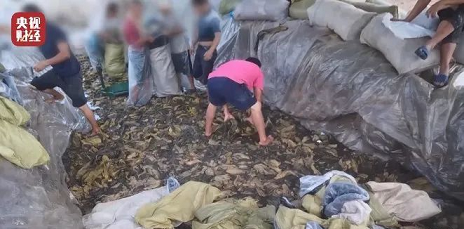 2022��M�����ϏS�ҿ������_�ȳ������ω���ˣ��ɭh(hu��n)���Ͳ��ɭh(hu��n)���Ķ���Ĭ��