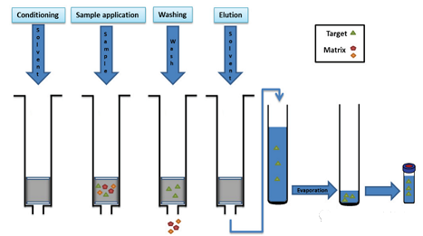 2022����ˮñ���a(ch��n)�S��ˮ����ʲô���W��11���ԁ�ˮ��������Ⱦ���{(di��o)��