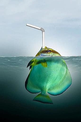 2022��Һ�渲�w��S���@�������������������׌���_����!