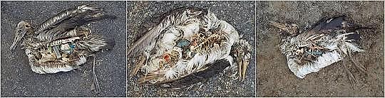 2022��Һ�渲�w��S���@�������������������׌���_����!