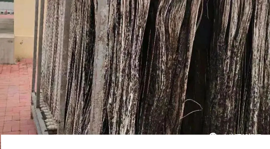 2022���Z��ʯ�V�ϏS�ҡ���؛��MBRĤ�۶�ԭ��������\(y��n)�й���?