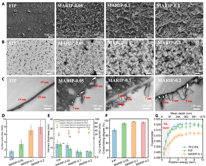 2022��13X���ӺY�S�Ҿ��г����x���� || ����MOF�Ƃ䳬��PA�{��Ĥ