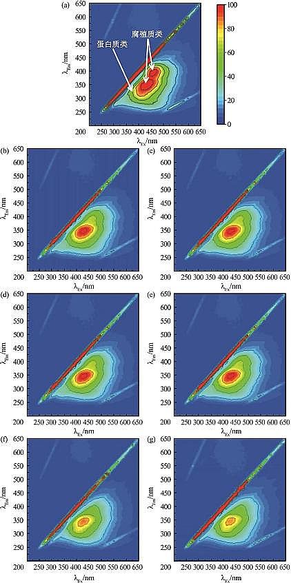 2022����������������MBBR�r(ji��)��늻��W(xu��)�������Ĥ�^�V���̎�������Uˮ��ˮ�о�