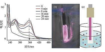 ���������c�����c̼Դ���a(ch��n)�S�Қ�Һ����x���w��(du��)ˮ���ĭh(hu��n)��ȥ�����C(j��)���о�