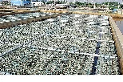 ��Ʒ�|�������͚������S����ˮ�S������RÓ�׳������}����ô����?�@���N����������!