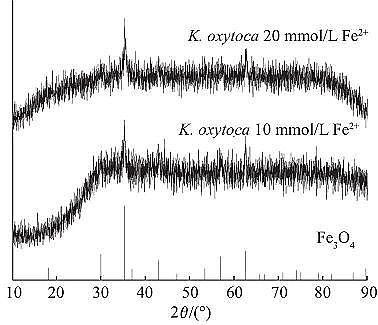��Ʒ�|(zh��)��ĩ�۠����̿���a(ch��n)�S������V�����Ƃ�{�������F���䌦���׻��{(l��n)������