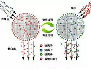 �طN�V�Ϻ��d�F���a(ch��n)�S��ˮ̎�����W(xu��)�؂�֪�R(sh��)---ˮ��