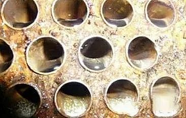 �طN�V�Ϻ��d�F���a(ch��n)�S��ˮ̎�����W(xu��)�؂�֪�R(sh��)---ˮ��