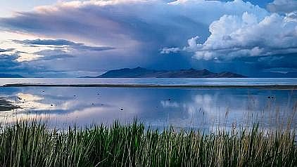 �๦�ܴ��F�V�V�����a�S�ҡ��^�c����β���äĿ�����ˮ̎��S��ˮ�˜�?