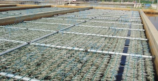 �����Aʽ�Ȼ��X�S����ˮ��3���ȼ�̎������ˇ��(n��i)�ݴ�ȫ