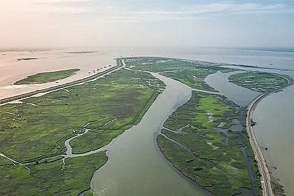 �����M���������a(ch��n)�S����ȵ��������ˮ?